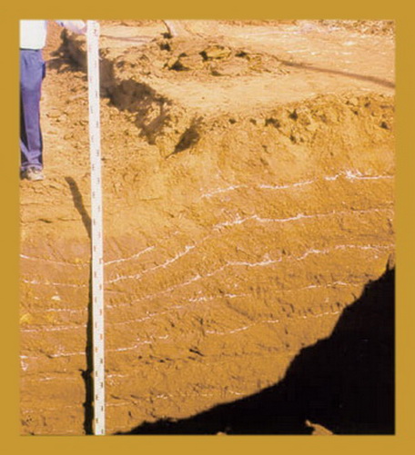 1544085511385906.jpg 1...jpg